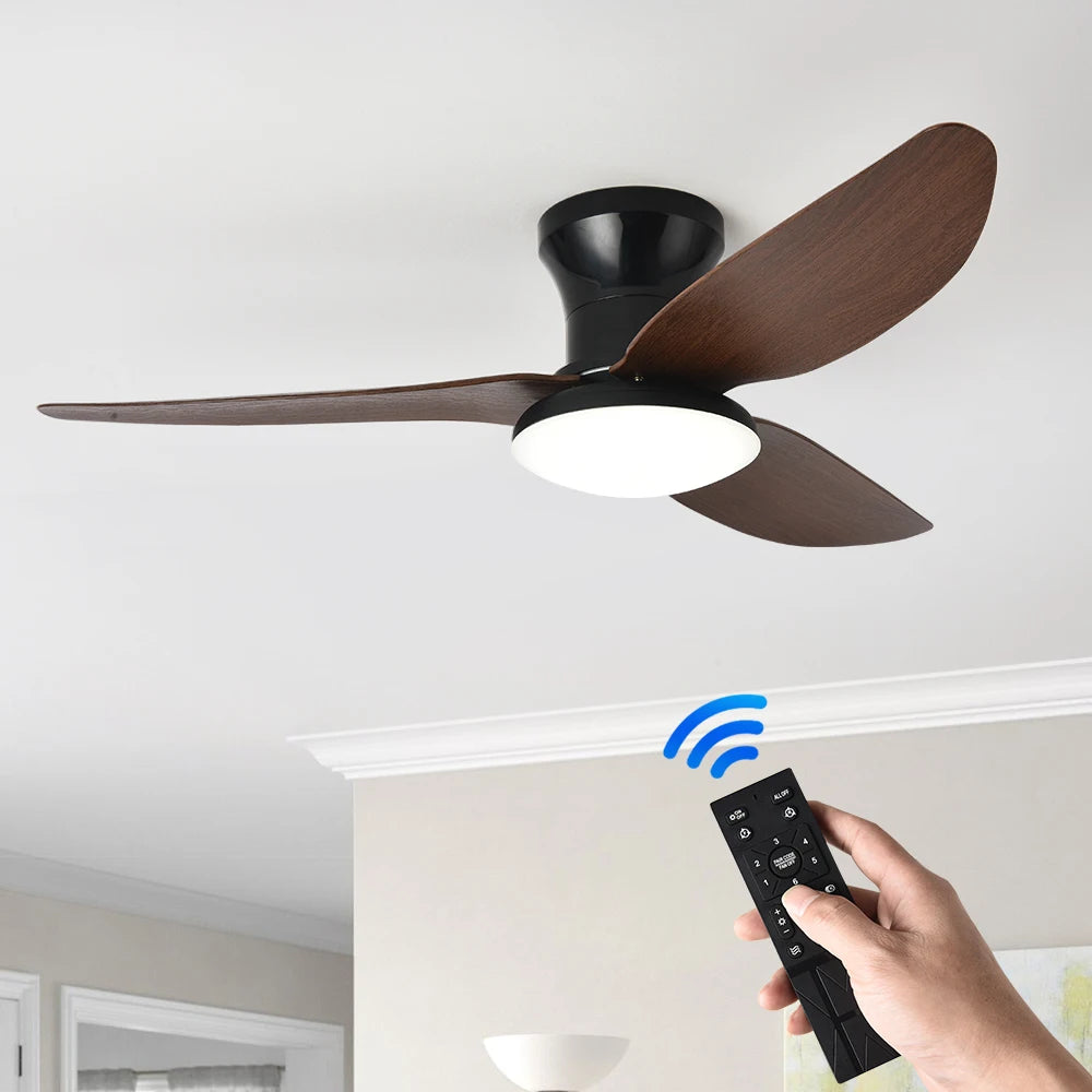 Ventilateur de plafond haute puissance — Chambre, Salon et Salle à manger