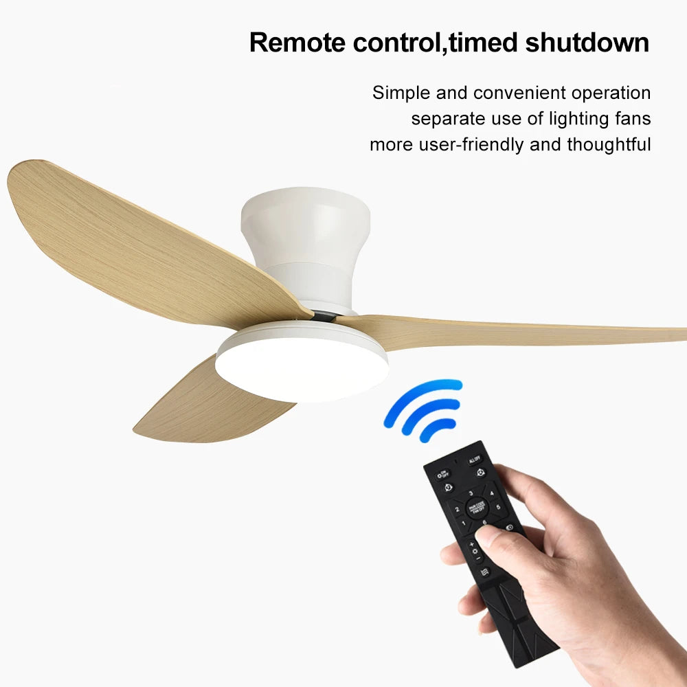 Ventilateur de plafond haute puissance — Chambre, Salon et Salle à manger