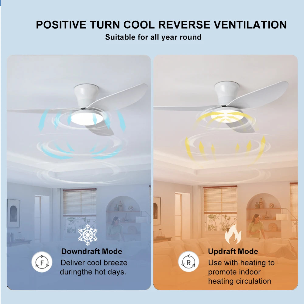 Ventilateur de plafond haute puissance — Chambre, Salon et Salle à manger