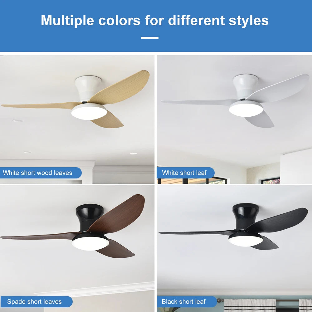 Ventilateur de plafond haute puissance — Chambre, Salon et Salle à manger